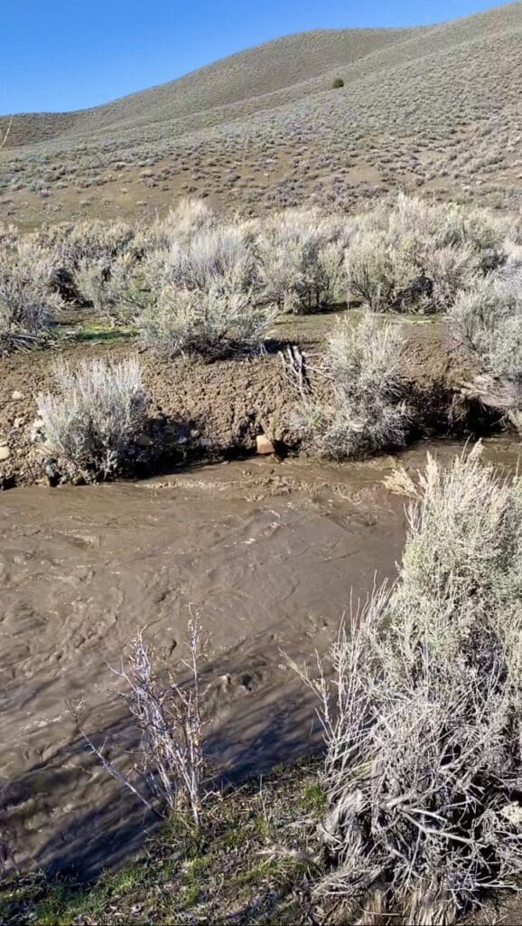 Large view of 41.39 ACRES IN LANDER CO, NEVADA WITH ROAD, CREEK, SPRING AND INCREDIBLE MOUNTAIN TOP VIEWS FOR MILES~NEW PICS MUST SEE AMAZING! Photo 30