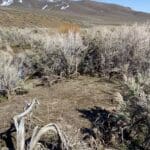 Thumbnail of 41.39 ACRES IN LANDER CO, NEVADA WITH ROAD, CREEK, SPRING AND INCREDIBLE MOUNTAIN TOP VIEWS FOR MILES~NEW PICS MUST SEE AMAZING! Photo 31