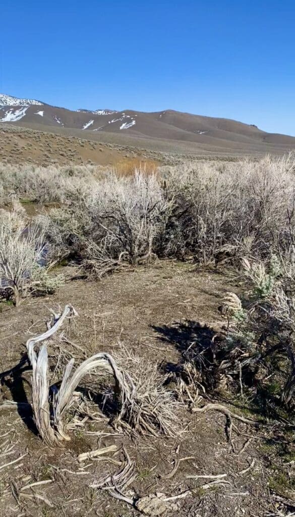 Large view of 41.39 ACRES IN LANDER CO, NEVADA WITH ROAD, CREEK, SPRING AND INCREDIBLE MOUNTAIN TOP VIEWS FOR MILES~NEW PICS MUST SEE AMAZING! Photo 31
