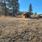 Thumbnail of Great Building Lot in TOWN OF SPRAGUE RIVER WITH SHACK, TREES AND LIVE WATER SPICKET. Photo 37