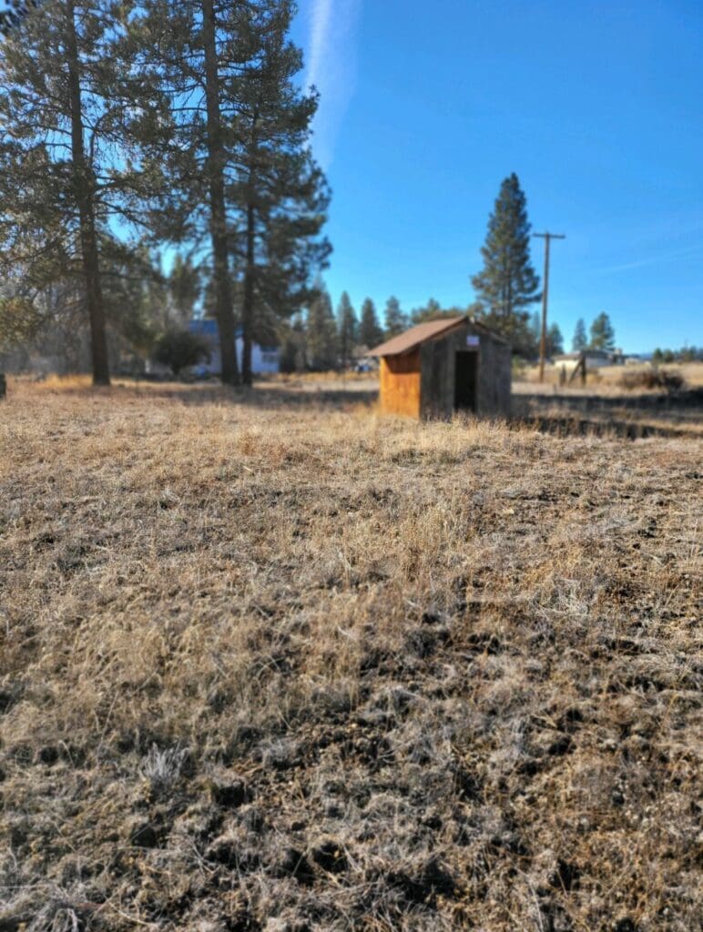 Large view of Great Building Lot in TOWN OF SPRAGUE RIVER WITH SHACK, TREES AND LIVE WATER SPICKET. Photo 37