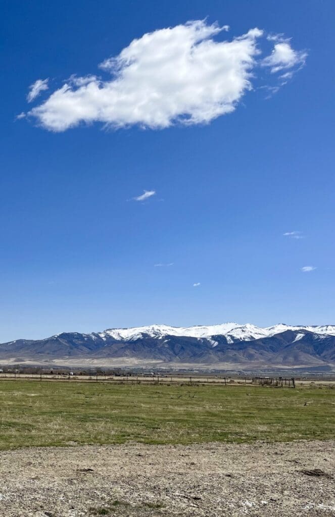 Large view of 4.550 ACRES IN BEAUTIFUL HUMBOLDT COUNTY, NEVADA ~ MINI RANCH ON ROSE CREEK MOUNTAIN ~ CITY LIGHTS VIEWS Photo 3