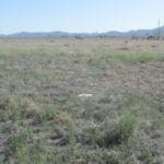 Thumbnail of Beautiful Large Building Lot 3.09 Acres in Town of Crescent Valley, Nevada with Power, Improved Roads and Views. Photo 12