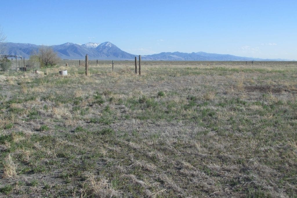Large view of Beautiful Large Building Lot 3.09 Acres in Town of Crescent Valley, Nevada with Power, Improved Roads and Views. Photo 11