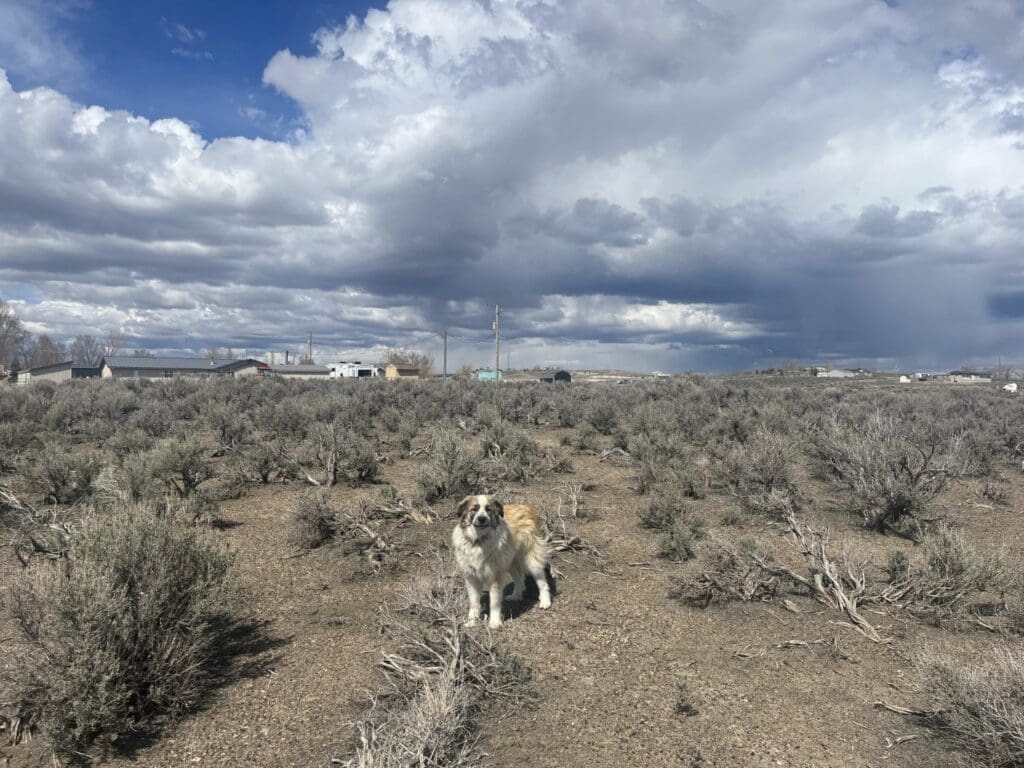 Large view of 1.030 ACRES OF LAND IN ELKO CO, NEVADA NEAR I-80, RUBIES AND IDAHO BORDER Photo 7