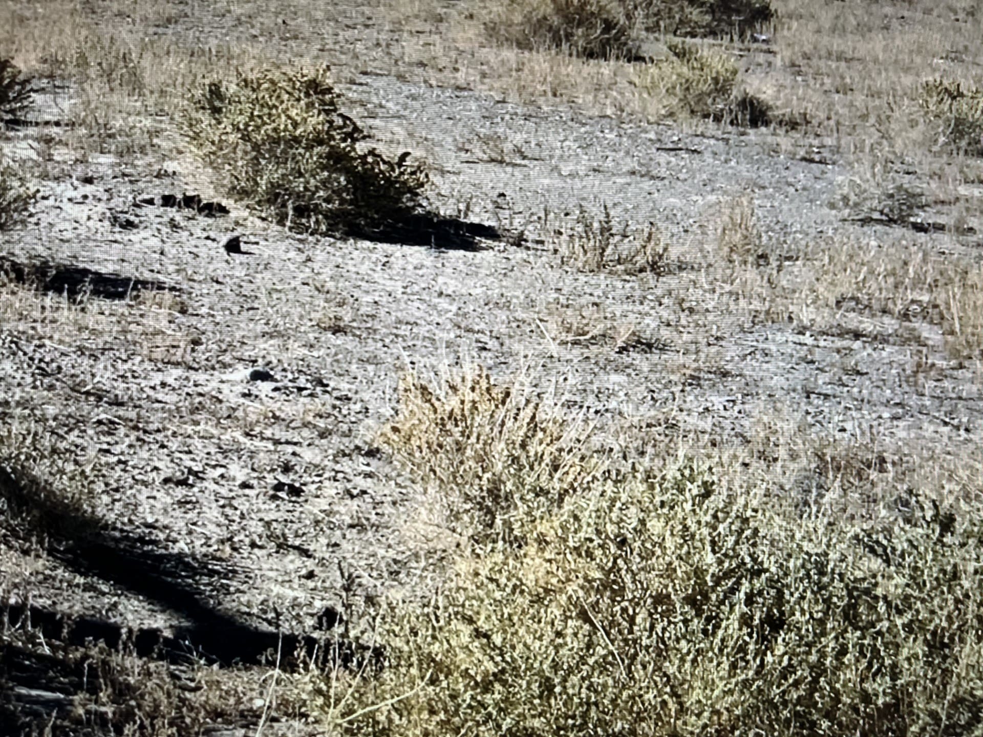 .0960 ACRE IN THE OLD TOWNSITE OF LUNING, NEVADA ~ M3 ZONING SO COMMERCIAL, RETAIL OR OFFICE USE, RESIDENTIAL~NEAR WALKER LAKE & BISHOP CALIFORNIA photo 4