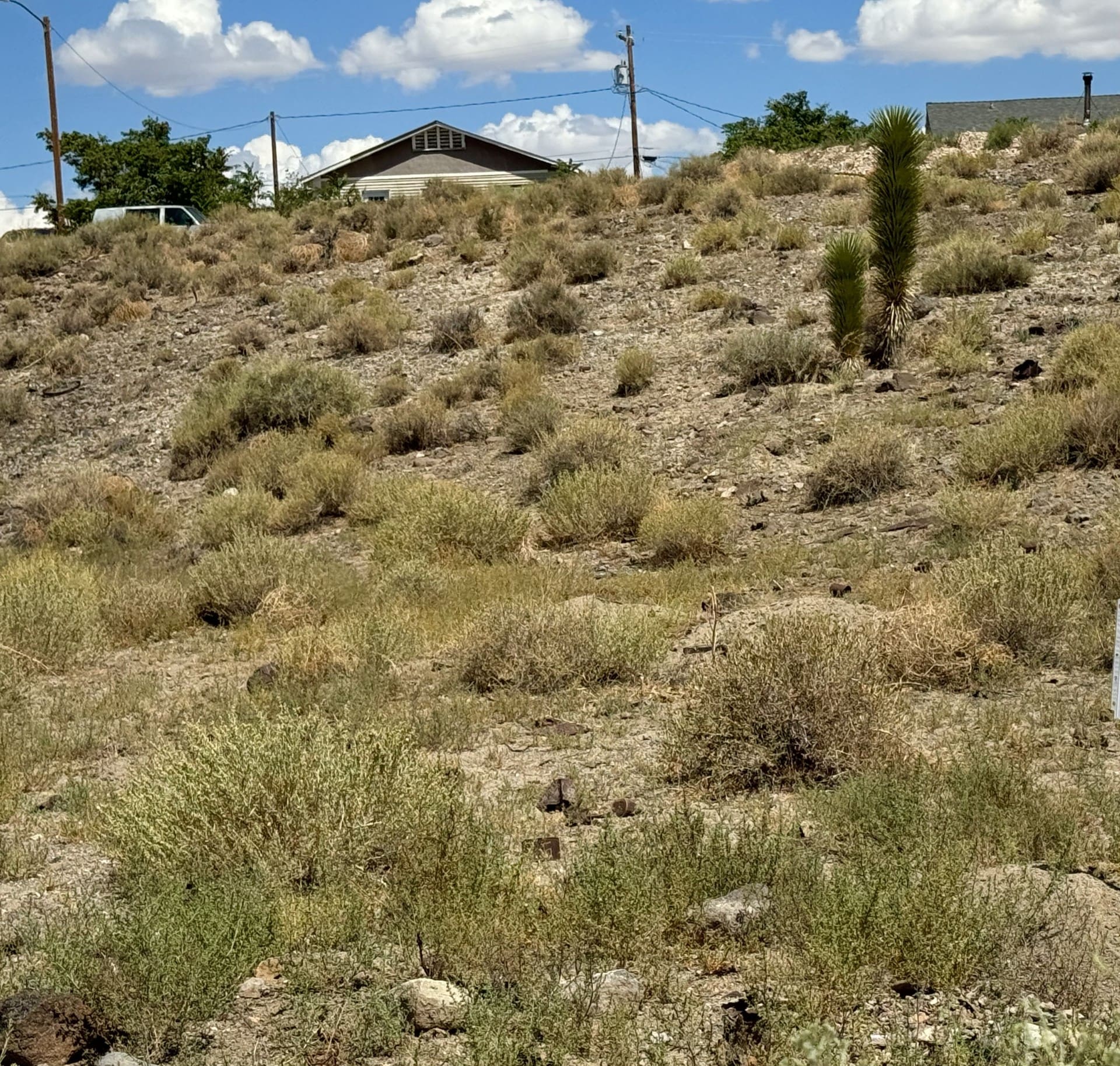 6 PARCELS IN BEAUTIFUL HISTORIC GOLDFIELD, NEVADA~RAW VACANT LAND IN TOWN~NO ZONING OR BUILDING DEPT~NEAR LAS VEGAS photo 10