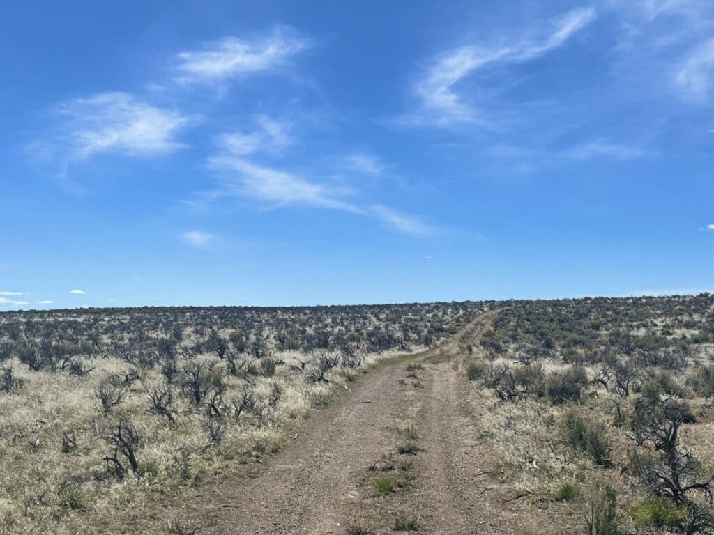 Large view of 20.00 ACRES IN BEAUTIFUL MALHEUR COUNTY, OREGON LAND NEAR THE WILD OWYHEE RIVER AND PILLARS OF ROME Photo 9