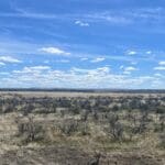 Thumbnail of 20.00 ACRES IN BEAUTIFUL MALHEUR COUNTY, OREGON LAND NEAR THE WILD OWYHEE RIVER AND PILLARS OF ROME Photo 10