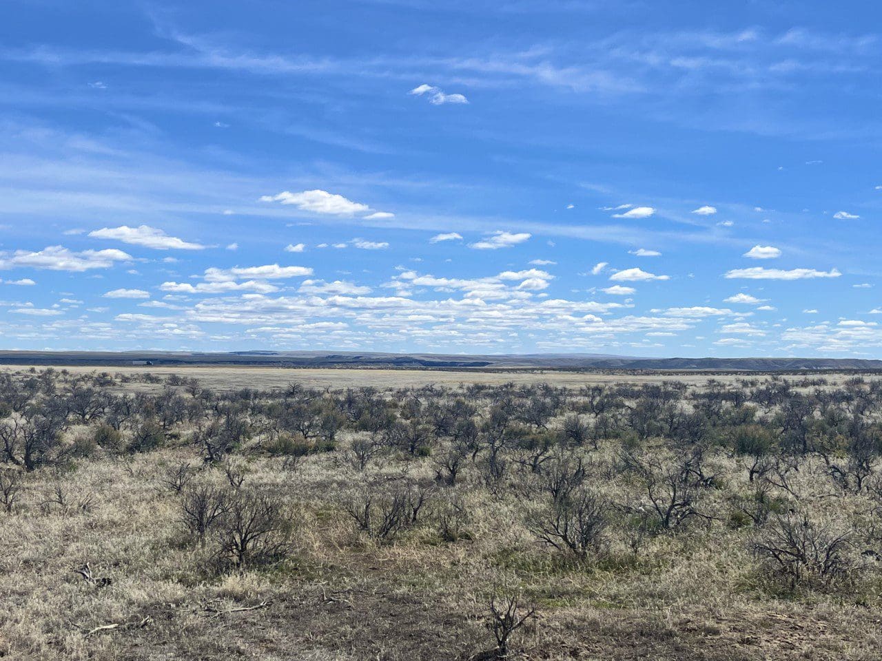 20.00 ACRES IN BEAUTIFUL MALHEUR COUNTY, OREGON LAND NEAR THE WILD OWYHEE RIVER AND PILLARS OF ROME photo 10