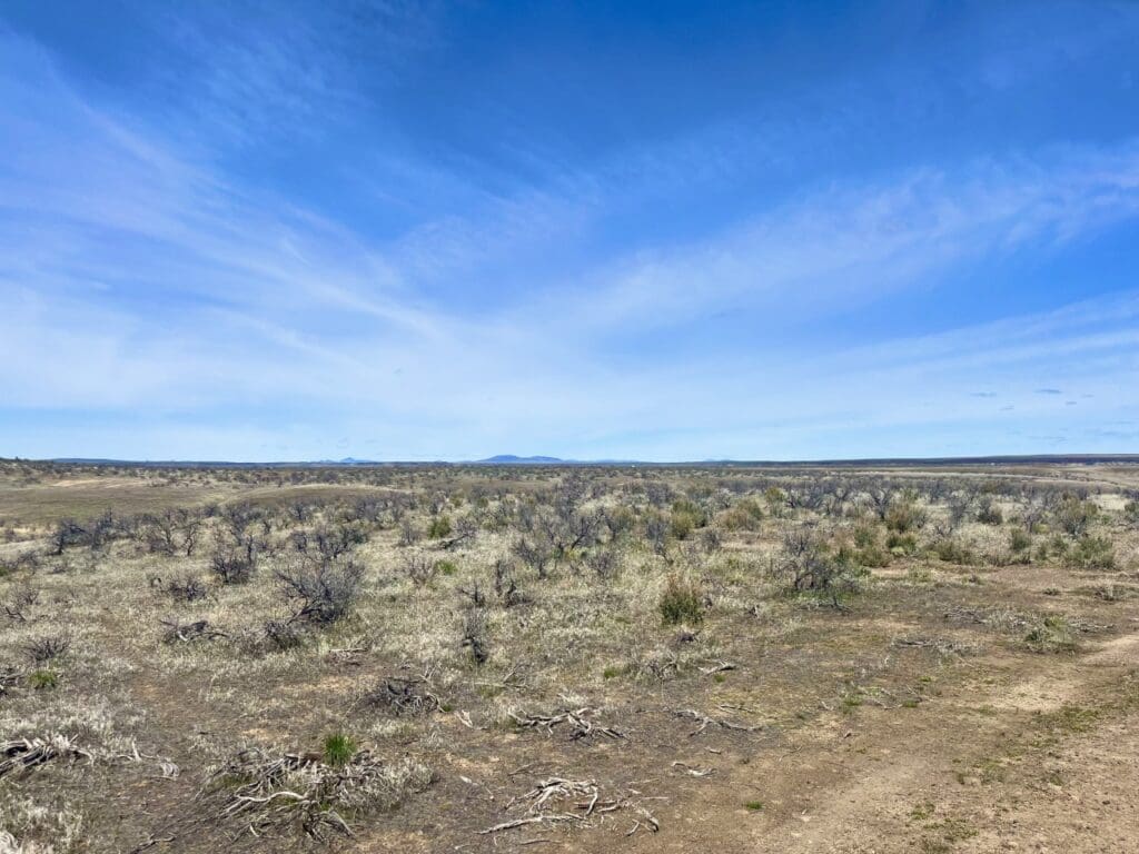 Large view of 40.00 ACRES IN BEAUTIFUL MALHEUR COUNTY, OREGON ~ LAND NEAR IDAHO AND NEVADA BORDERS. Photo 15