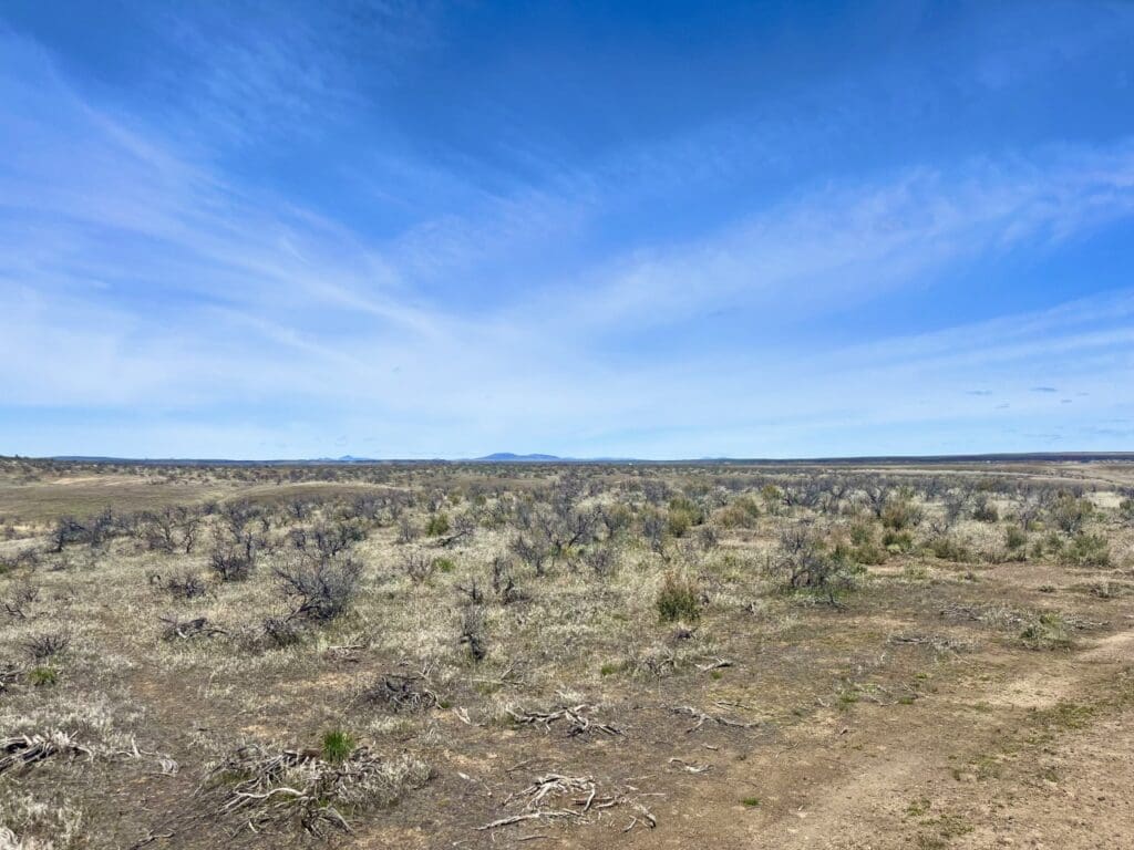 Large view of 20.00 ACRES IN BEAUTIFUL MALHEUR COUNTY, OREGON LAND NEAR THE WILD OWYHEE RIVER AND PILLARS OF ROME Photo 14