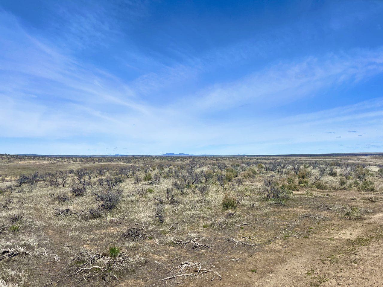 20.00 ACRES IN BEAUTIFUL MALHEUR COUNTY, OREGON LAND NEAR THE WILD OWYHEE RIVER AND PILLARS OF ROME photo 14