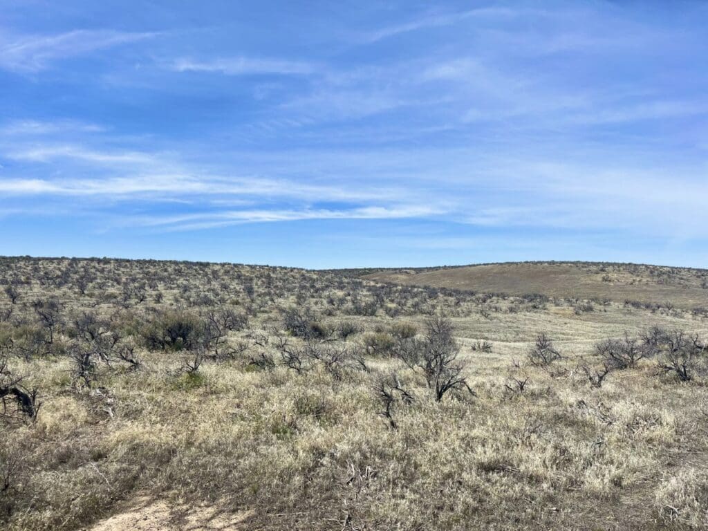 Large view of 20.00 ACRES IN BEAUTIFUL MALHEUR COUNTY, OREGON LAND NEAR THE WILD OWYHEE RIVER AND PILLARS OF ROME Photo 17