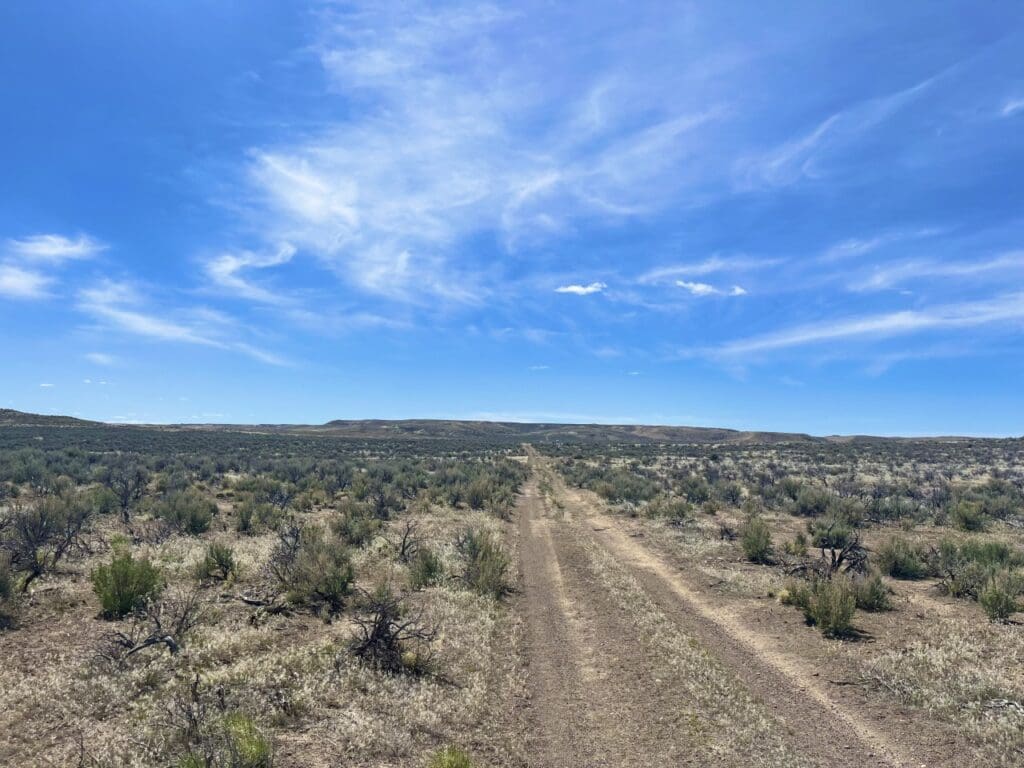 Large view of 20.00 ACRES IN BEAUTIFUL MALHEUR COUNTY, OREGON LAND NEAR THE WILD OWYHEE RIVER AND PILLARS OF ROME Photo 2