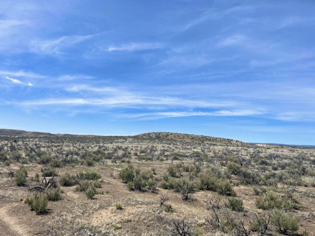 20.00 ACRES IN BEAUTIFUL MALHEUR COUNTY, OREGON LAND NEAR THE WILD