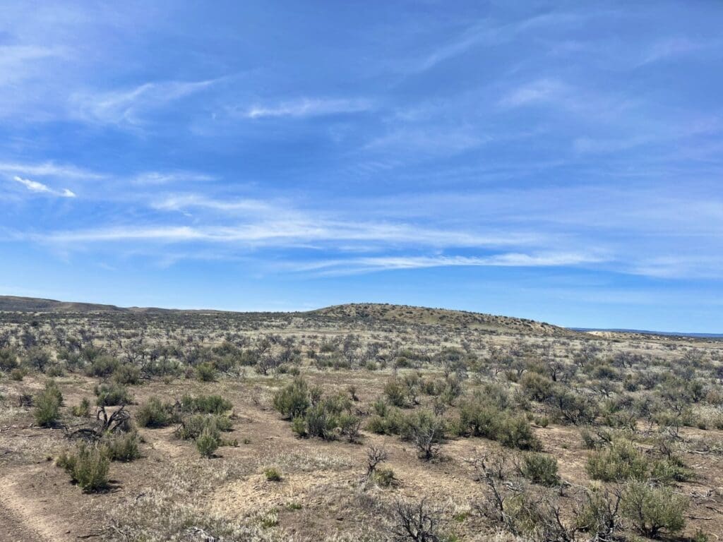 Large view of 20.00 ACRES IN BEAUTIFUL MALHEUR COUNTY, OREGON LAND NEAR THE WILD OWYHEE RIVER AND PILLARS OF ROME Photo 4