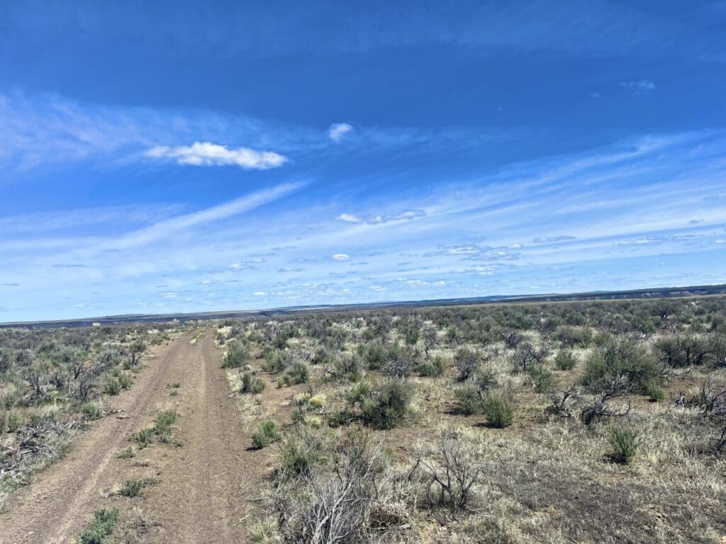 Large view of 40.00 ACRES IN BEAUTIFUL MALHEUR COUNTY, OREGON ~ LAND NEAR IDAHO AND NEVADA BORDERS. Photo 3