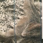 Thumbnail of 80.00 Treed Acres in Northeast Nevada near Carlin & Elko with Seasonal Stream & Tons of Wildlife Photo 11