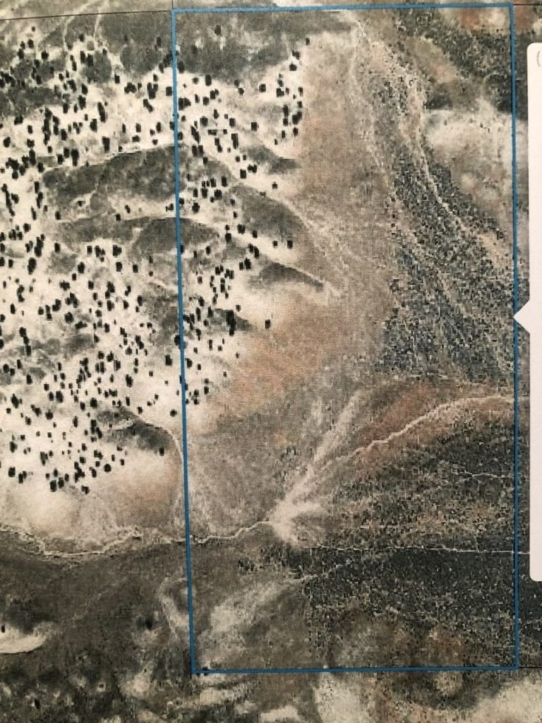 Large view of 80.00 Treed Acres in Northeast Nevada near Carlin & Elko with Seasonal Stream & Tons of Wildlife Photo 11