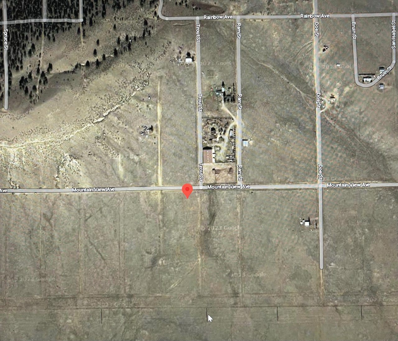 .17 ACRE LOT IN BEAUTIFUL PIKE SAN ISABEL VILLAGE, PARK COUNTY, COLORADO photo 2