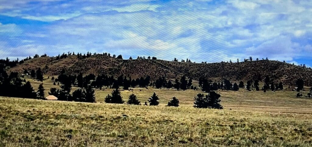Large view of .17 ACRE LOT IN BEAUTIFUL PIKE SAN ISABEL VILLAGE, PARK COUNTY, COLORADO Photo 8