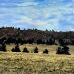 Thumbnail of .17 ACRE LOT IN BEAUTIFUL PIKE SAN ISABEL VILLAGE, PARK COUNTY, COLORADO Photo 8
