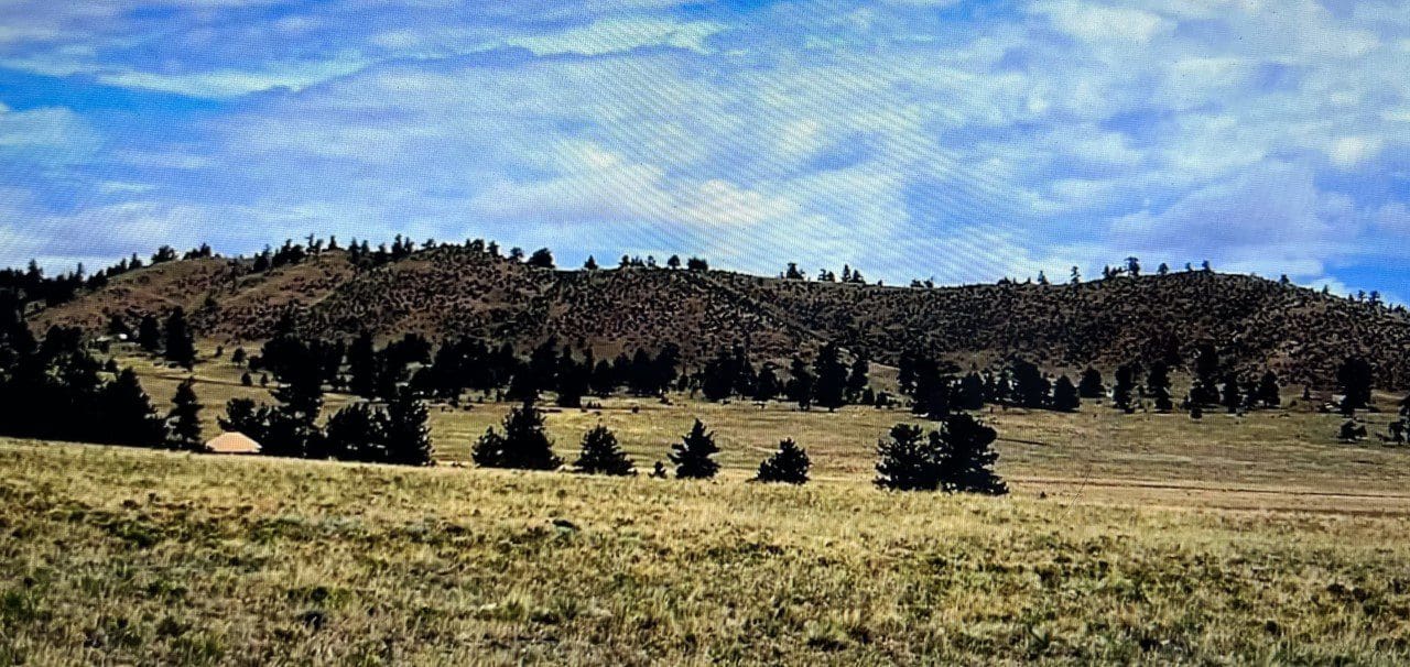 0.17 ACRES IN GORGEOUS PARK COUNTY, COLORADO ~ GORGEOUS PIKE SAN ISABEL VILLAGE NESTELED IN THE ROLLING HILLS NEAR HARTZEL photo 8