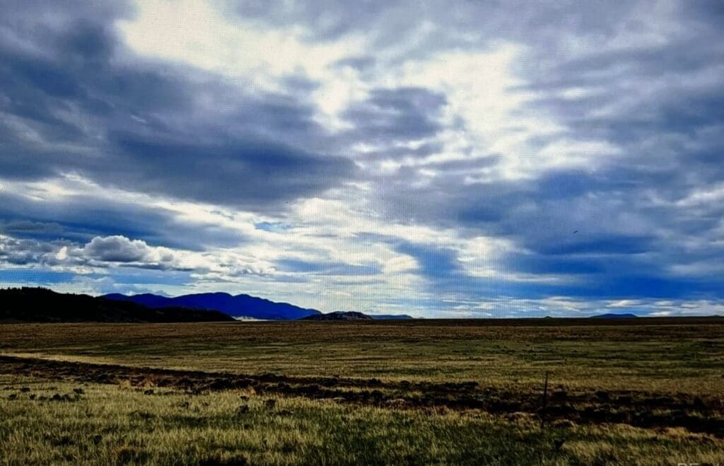 Large view of 0.17 ACRE LOT IN GORGEOUS PARK COUNTY, COLORADO~FABULOUS SAN ISABEL VILLAGE Photo 9