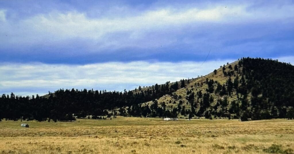 Large view of .17 ACRE LOT IN BEAUTIFUL PIKE SAN ISABEL VILLAGE, PARK COUNTY, COLORADO Photo 10