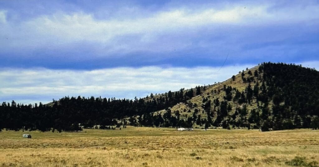 Large view of 0.17 ACRE LOT IN GORGEOUS PARK COUNTY, COLORADO~FABULOUS SAN ISABEL VILLAGE Photo 8