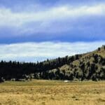 Thumbnail of .17 ACRE LOT IN BEAUTIFUL PIKE SAN ISABEL VILLAGE, PARK COUNTY, COLORADO Photo 10