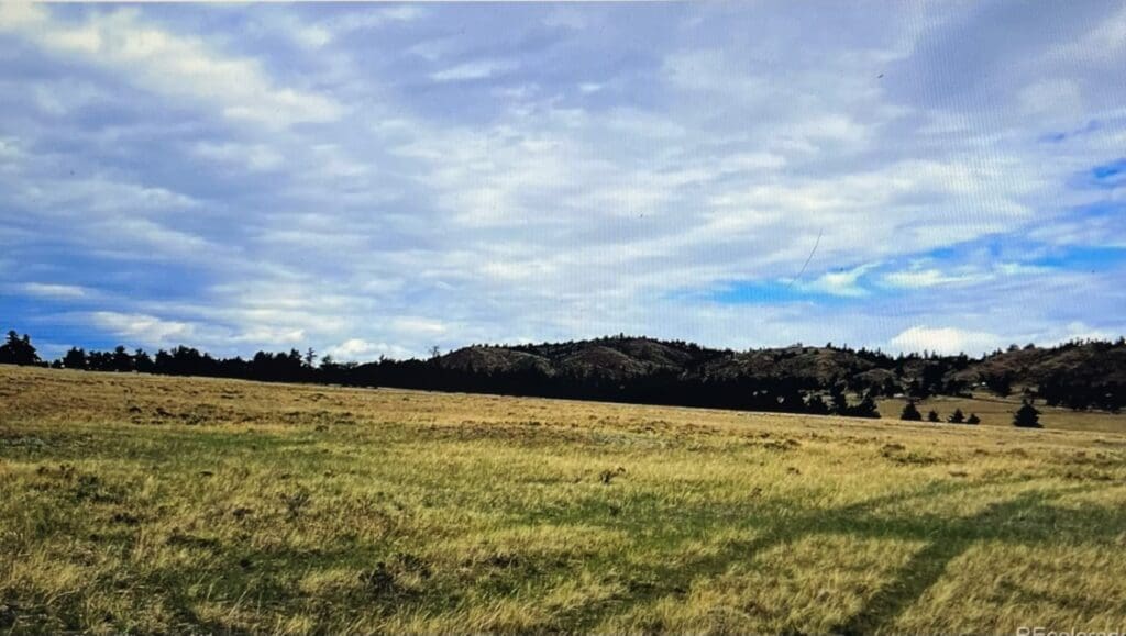 Large view of .17 ACRE LOT IN BEAUTIFUL PIKE SAN ISABEL VILLAGE, PARK COUNTY, COLORADO Photo 11