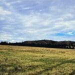 Thumbnail of .17 ACRE LOT IN BEAUTIFUL PIKE SAN ISABEL VILLAGE, PARK COUNTY, COLORADO Photo 11