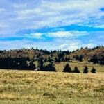 Thumbnail of .17 ACRE LOT IN BEAUTIFUL PIKE SAN ISABEL VILLAGE, PARK COUNTY, COLORADO Photo 9