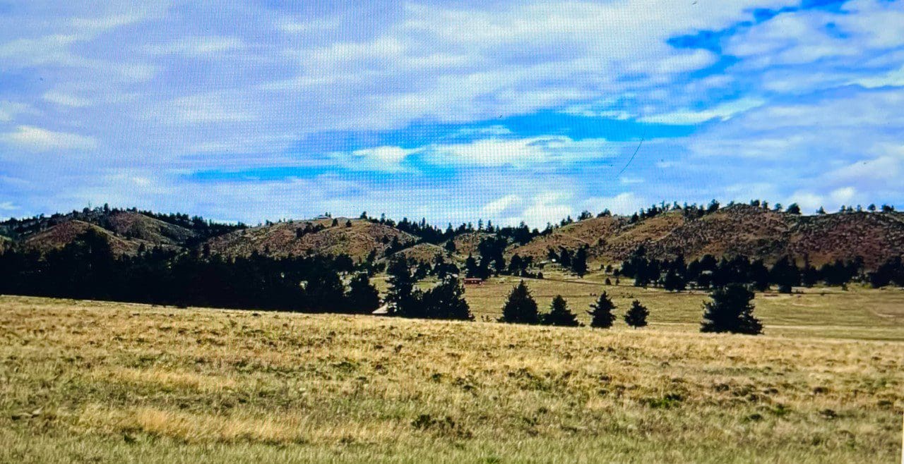 0.17 ACRES IN GORGEOUS PARK COUNTY, COLORADO ~ GORGEOUS PIKE SAN ISABEL VILLAGE NESTELED IN THE ROLLING HILLS NEAR HARTZEL photo 2