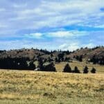 Thumbnail of .17 ACRE LOT IN BEAUTIFUL PIKE SAN ISABEL VILLAGE, PARK COUNTY, COLORADO Photo 1