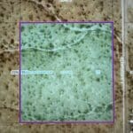 Thumbnail of 2.35 ACRES JUST OUTSIDE BOOMING KINGMAN, ARIZONA ~ NEAR LAUGHLIN AND BULLHEAD CITY. Photo 6