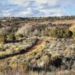 Thumbnail of BEAUTIFUL TREED LOT IN DUCHESNE COUNTY, UTAH ~ NEAR WYOMING & COLORADO BORDERS! Photo 5