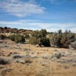 Thumbnail of BEAUTIFUL TREED LOT IN DUCHESNE COUNTY, UTAH ~ NEAR WYOMING & COLORADO BORDERS! Photo 4