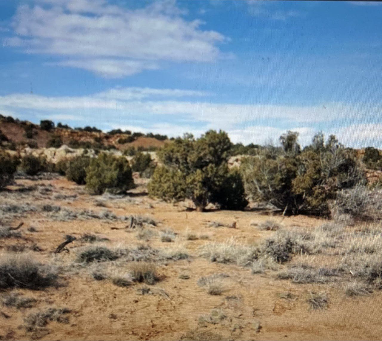 BEAUTIFUL TREED LOT IN DUCHESNE COUNTY, UTAH ~ NEAR WYOMING & COLORADO BORDERS! photo 4