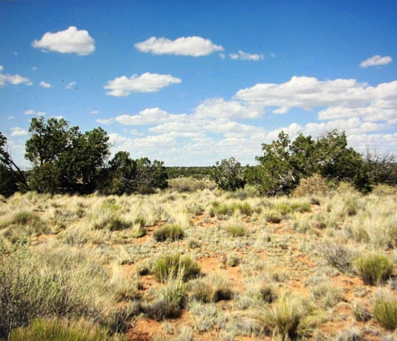 BEAUTIFUL TREED LOT IN DUCHESNE COUNTY, UTAH ~ NEAR WYOMING & COLORADO BORDERS! photo 2