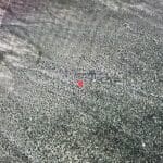 Thumbnail of 40.00 HUGE TIMBERED ACRES ON THE MOUNTAIN FEET FROM THE UTAH BORDER ADJOINING PUBLIC LANDS WITH MAJOR ELK & DEER GAME TRAIL THROUGH PROPERTY IN ELKO COUNTY, NEVADA Photo 10