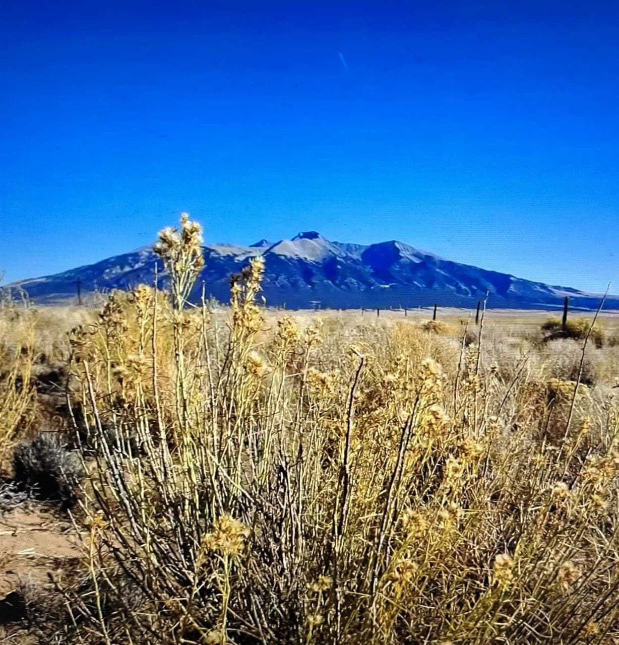 5.00 ACRES~GORGEOUS COSTILLA CO, COLORADO~BUILDING LOT, POWER, IMPROVED ROADS & 360 DEGREE VIEWS ~MT. BLANCA. photo 5