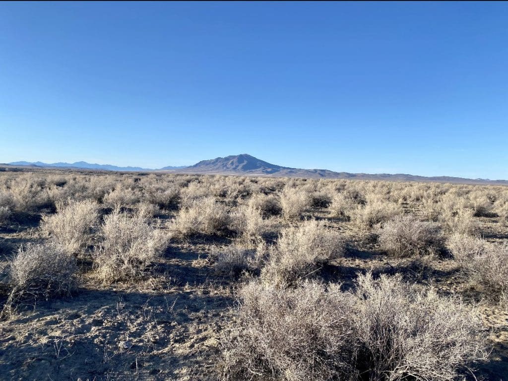 Large view of Gorgeous 40.460 Acre Humboldt Riverfront Property with Conservation road access near Black Rock Desert Photo 10