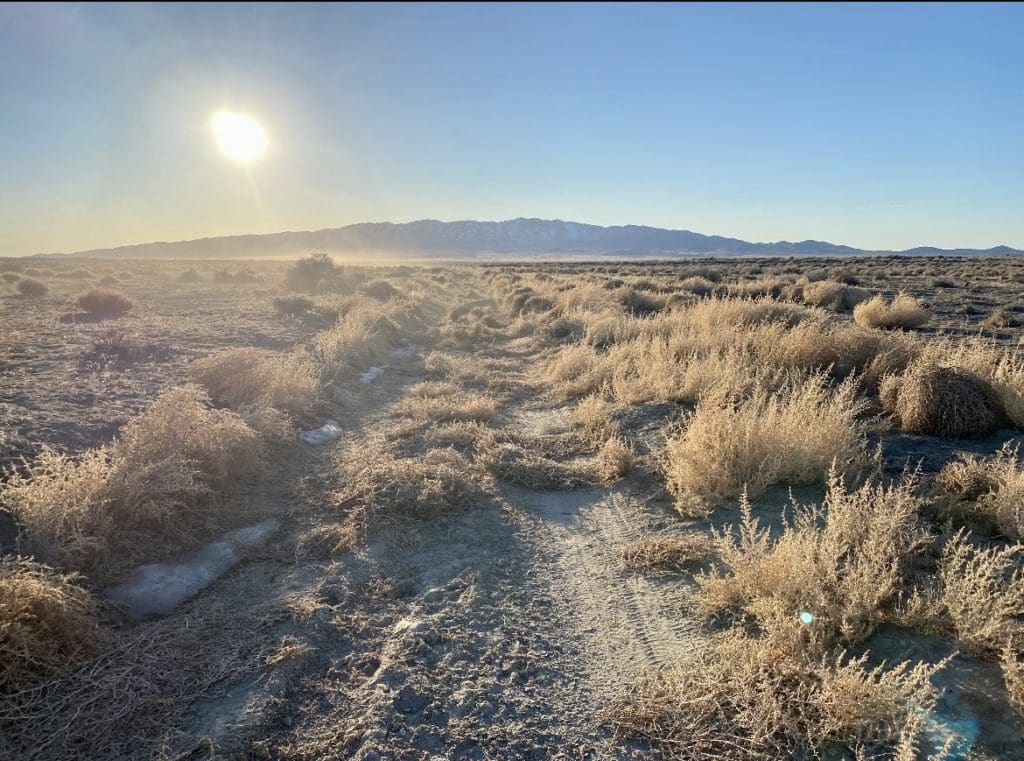 Large view of Gorgeous 40.460 Acre Humboldt Riverfront Property with Conservation road access near Black Rock Desert Photo 14