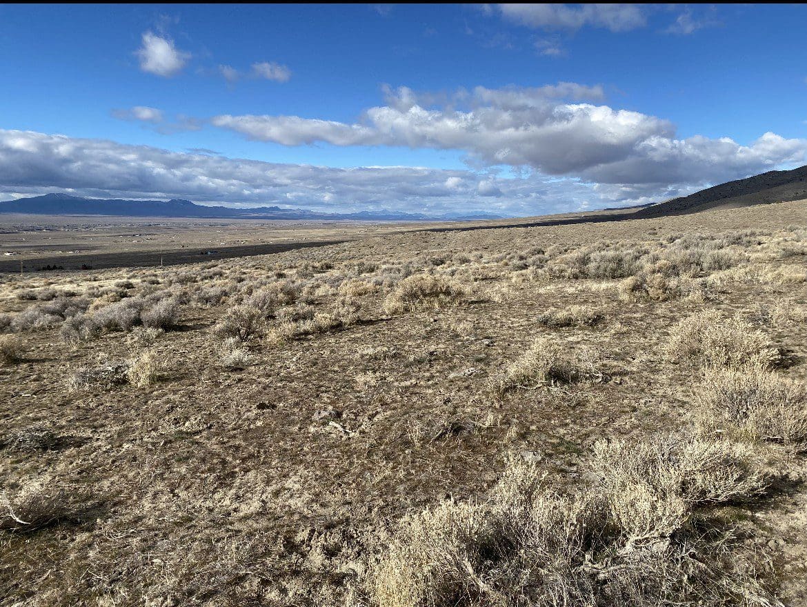 7.33 ACRES IN BEAUTIFUL HUMBOLDT RIVER RANCH CUL-DE-SAC LOT BACKS HUMBOLDT RANGE & BLM 5* photo 7