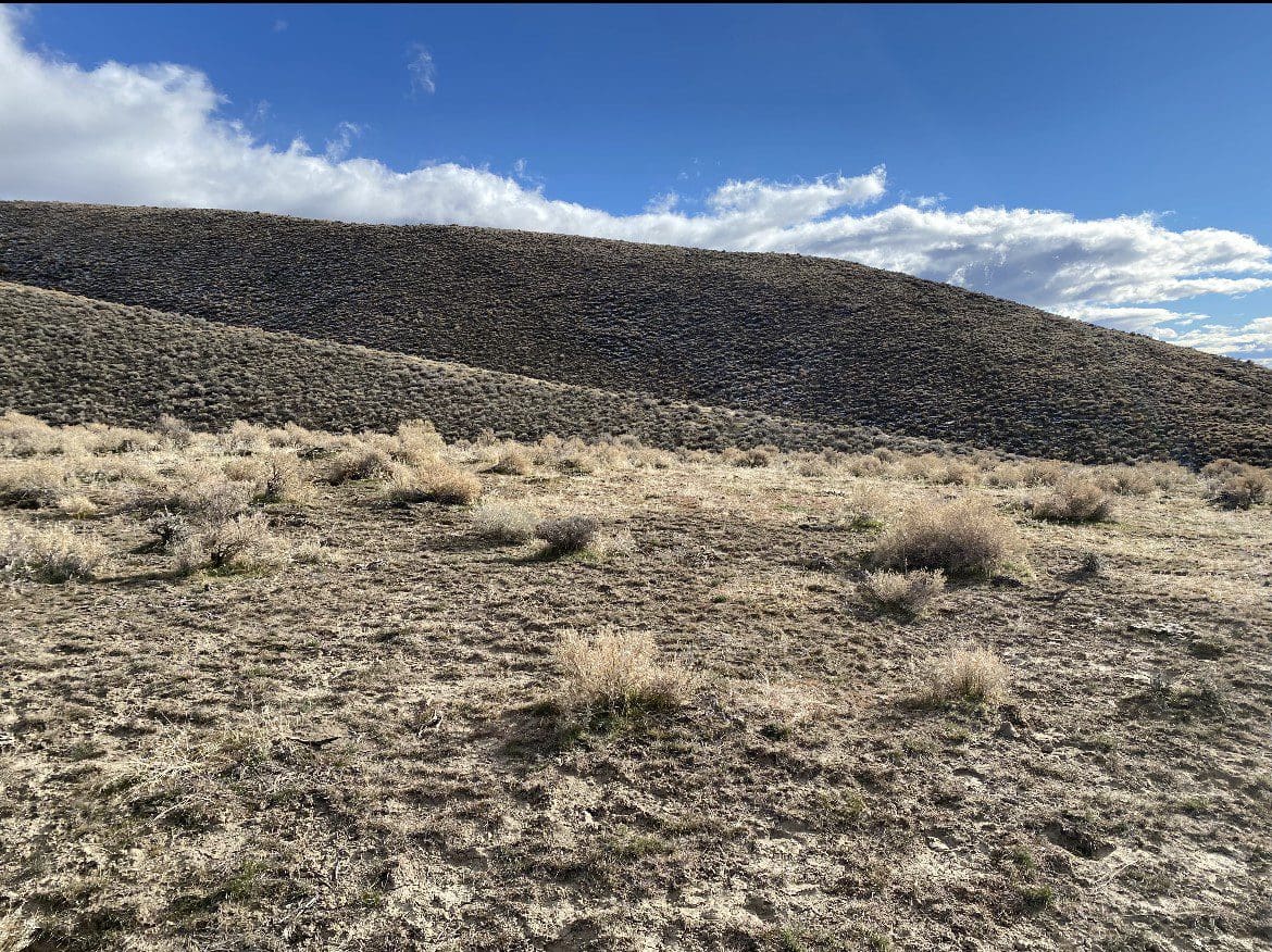 7.33 ACRES IN BEAUTIFUL HUMBOLDT RIVER RANCH CUL-DE-SAC LOT BACKS HUMBOLDT RANGE & BLM 5* photo 14