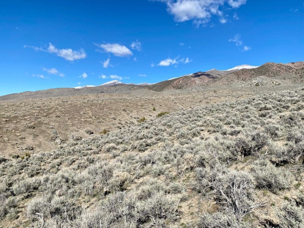 Large view of 7.33 ACRES IN BEAUTIFUL HUMBOLDT RIVER RANCH CUL-DE-SAC LOT BACKS HUMBOLDT RANGE & BLM 5* Photo 37