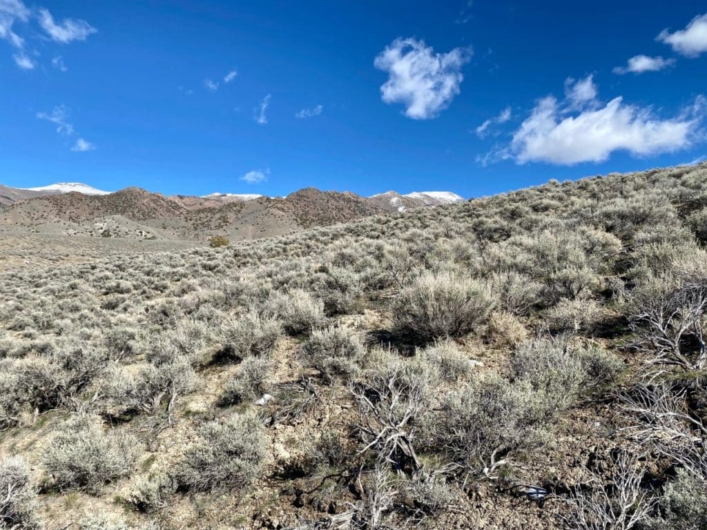 Large view of 7.33 ACRES IN BEAUTIFUL HUMBOLDT RIVER RANCH CUL-DE-SAC LOT BACKS HUMBOLDT RANGE & BLM 5* Photo 36